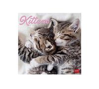 Legami - Calendario da Parete 2024, 12 Mesi e Planner annuale, Spazio per Note e Appunti, Numero della Settimana, 6 Lingue, Segni zodiacali e Festività internazionali, Cellophanatura singola, 30x29 cm