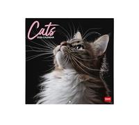 Legami - Calendario da Parete 2026, Cats, Calendario da Muro Grande, 12 Mesi e Planner Annuale, in 6 Lingue, Spazio per Note, Segni Zodiacali, Festività Internazionali, 30 x 29 cm