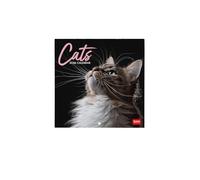 Legami - Calendario da Parete 2026, Cats, Calendario da Muro Piccolo, 12 Mesi e Planner Annuale, in 6 Lingue, Spazio per Note, Segni Zodiacali, Festività Internazionali, 18 x 18 cm