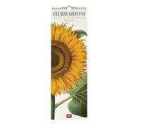Legami - Calendario da Parete 2026, Herbarium, Calendario da Muro Piccolo, 12 Mesi e Planner Annuale, in 6 Lingue, Spazio per Note, Segni Zodiacali, Festività Internazionali, 16 x 49 cm