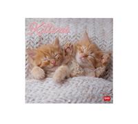 Legami - Calendario da Parete 2026, Kittens, Calendario da Muro Grande, 12 Mesi e Planner Annuale, in 6 Lingue, Spazio per Note, Segni Zodiacali, Festività Internazionali, 30 x 29 cm