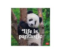 Legami - Calendario da Parete 2026, Life Is Pandastic, Calendario da Muro Grande, 12 Mesi e Planner Annuale, in 6 Lingue, Spazio per Note, Segni Zodiacali, Festività Internazionali, 30 x 29 cm