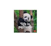 Legami - Calendario da Parete 2026, Life Is Pandastic, Calendario da Muro Piccolo, 12 Mesi e Planner Annuale, in 6 Lingue, Spazio per Note, Segni Zodiacali, Festività Internazionali, 18 x 18 cm