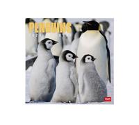 Legami - Calendario da Parete 2026, Penguins, Calendario da Muro Grande, 12 Mesi e Planner Annuale, in 6 Lingue, Spazio per Note, Segni Zodiacali, Festività Internazionali, 30 x 29 cm