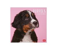 Legami - Calendario da Parete 2026, Puppies, Calendario da Muro Grande, 12 Mesi e Planner Annuale, in 6 Lingue, Spazio per Note, Segni Zodiacali, Festività Internazionali, 30 x 29 cm
