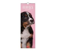Legami - Calendario da Parete 2026, Puppies, Calendario da Muro Piccolo, 12 Mesi e Planner Annuale, in 6 Lingue, Spazio per Note, Segni Zodiacali, Festività Internazionali, 16 x 49 cm