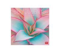 Legami - Calendario da Parete 2026, Succulents, Calendario da Muro Grande, 12 Mesi e Planner Annuale, in 6 Lingue, Spazio per Note, Segni Zodiacali, Festività Internazionali, 30 x 29 cm