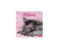 Legami - Calendario da Parete 2027, Kittens, 12 Mesi, 18 x 18 cm
