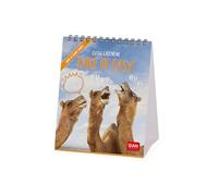 Legami - Calendario da Tavolo 2026, Take It Easy, Calendario da Scrivania, 12 Mesi e Planner Annuale, in 6 Lingue, Segni zodiacali, Festività internazionali, 12 x 14.5 cm