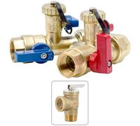 Legend Valve 101-155NL 1" FNPT NL TANKLESS VAL W/PRV Modello NL FNPT TWHV Kit con PRV