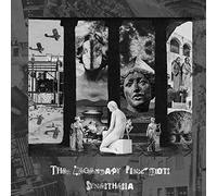 Legendary Pink Dots - Synesthesia