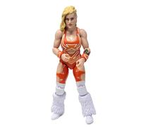 Leggende Di Lucha Libre Fanatici Action Figure | Taya Valkyrie