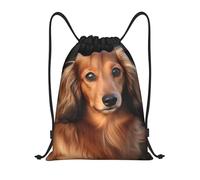 Leggero Coulisse Tasche Long Haired Dachshund Print Zaino Palestras Unisex Sacca Sportiva Palestra per Donna Adulto Spiaggia 36X42cm
