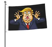 Leggero Decorazione esterna Donald Trump's Facial Expressions Flag Divertente Bandiera con occhielli in metallo 3x5 Ft per dormitori,Spazi interni