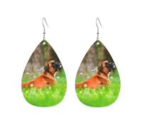 Leggero Orecchini Boxer Dogs And Bubbles Orecchino da Donna Confortevoli Teardrop Orecchini per Festa della mamma Vacanze Festa