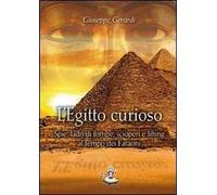 L' Egitto curioso. Spie, ladri di tombe, scioperi e lifting al tempo dei faraoni