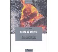 Legno ed energia. Come produrre energie con le biomasse legnose