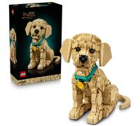 11384 Lego Icons 11384