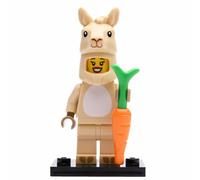 LEGO® -Box-20° Edizione Minifigures Gioco di costruzione, Multicolore 71027