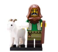 LEGO® Minifigure 71045 Serie 25