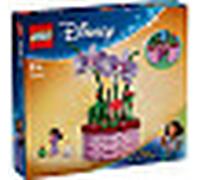 Vaso di fiori di Isabela