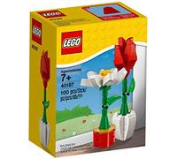 Lego- Fiori, 40187