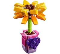 LEGO Friends FRIENDSHIP FLOWER Set di San Valentino 30404 Promo VIP Polybag