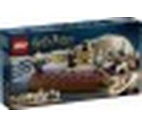 LEGO® Harry Potter™ 76441 Castello di Hogwarts™: Club dei Duellanti