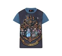 LEGO Harry Potter T-Shirt LWTaylor 321, 612 Faded Blue, 104 Unisex-Adulto