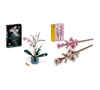 LEGO Icons Orchidea, Set Collezione Botanica Piante Artificiali & Creator Fiori