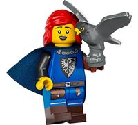 LEGO Minifigure Collezionabili Serie 24 - Falconiere con Supporto e Accessori 71037 (Insaccato)