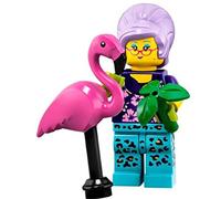 LEGO Minifigures Series 19 Gardener Minifigure with Flamingo 71025 (Bagged)