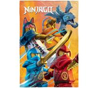 Lego Ninjago Coperta grande Fire 120 x 150 cm Cole Jay Kai Lloyd Zane Nya Misako Sensei Wu Lord Garmadon Morbida coperta in pile per bambini Per biancheria da letto