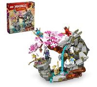 LEGO NINJAGO Dragon Stone Shrine, costruisci ed esponi giocattolo Ninja con 6 action figure Ninja, kit avanzato per costruire ninja, idea regalo di compleanno per ragazzi e ragazze dai 13 anni 71819