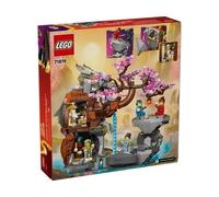 LEGO(R) NINJAGO 71819 Tempio della Pietra del Drago