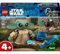 LEGO® Star Wars TM 75443 La casa di Grogu