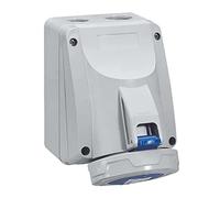 Legrand 555354 presa energia Multicolore