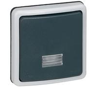 Legrand, Deviatore per switch a 2 vie con indicatore 10 A, per 66 componibile IP66, Grigio (grau)