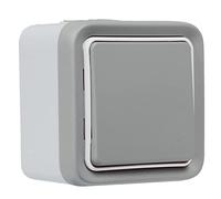 Legrand - Interruttore senza fili impermeabile per installazione collegata Plexo con Netatmo completo sporgente grigio