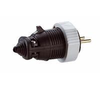 Legrand LEG50248 - Spina maschio 2P + T 16 A IP 65