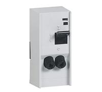 Legrand LEG93001 - Interruttore con cartuccia per fusibili, 2P, 4600 W 230 V, colore: Grigio