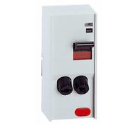 Legrand LEG93002 - Interruttore con cartuccia per fusibile, con spia, 2P, max 4600 W, colore: Grigio