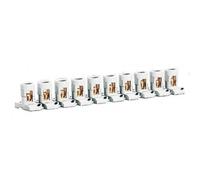 Legrand Morsetto a Mantello Stecca da 10 Pz 10mm
