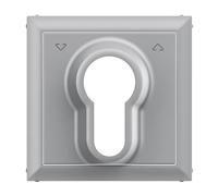 LEGRAND, SEANO 765234 - Coperchio per chiavi con cilindro DIN, colore: Alluminio laccato