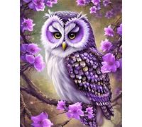 Lehaha 5D Diamond Painting Kit Completo per Adulti,Cartoon Diamond Art Kits for Kids Beginners,Stitch Kit Pittura Diamante Come Regalo per Bambini,DIY Strass Ricamo Punto Croce,gufo(30x40cm)