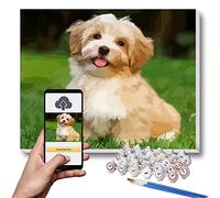 Lehaha Pittura dipingere con i numeri Foto personalizzata per Adulti, Kit di Pittura per Animali Domestici e Ritratti,Realizza la Tua Foto con Disegno Pittura e Pennelli,30x40cm(Senza Cornice)