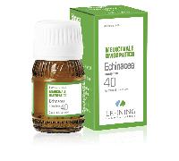 Lehning Laboratoires LEHNING 40 ECHINACEA COMP 30 ML