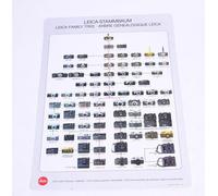 LEICA Poster FAMILY TREE “ALBERO GENEALOGICO” in plastica rigido