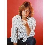Leif Garrett Poster Stampa 61x50.8cm Raffreddamento Immagine 238387