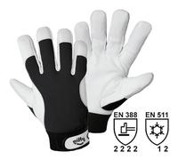 Leipold Doehle 1707-10 Pelle Nappa Guanto per meccanica e assemblaggio Taglia